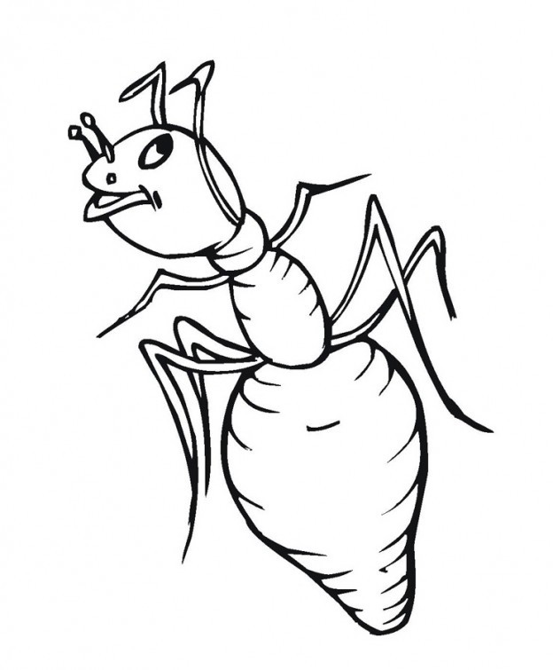 Printable Ant Coloring Pages – ColoringMe.com