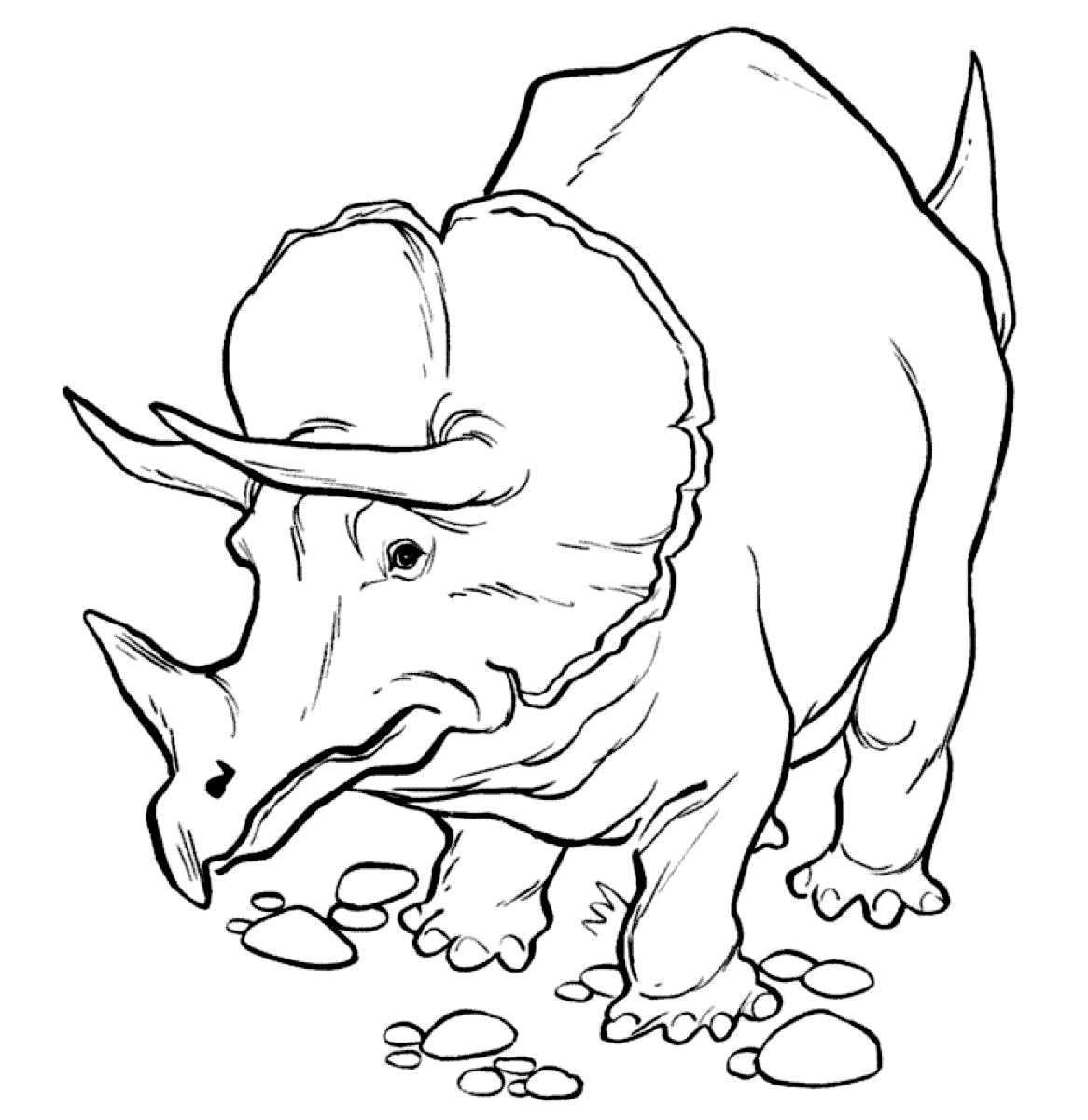 Динозавры раскраска тритерапторс