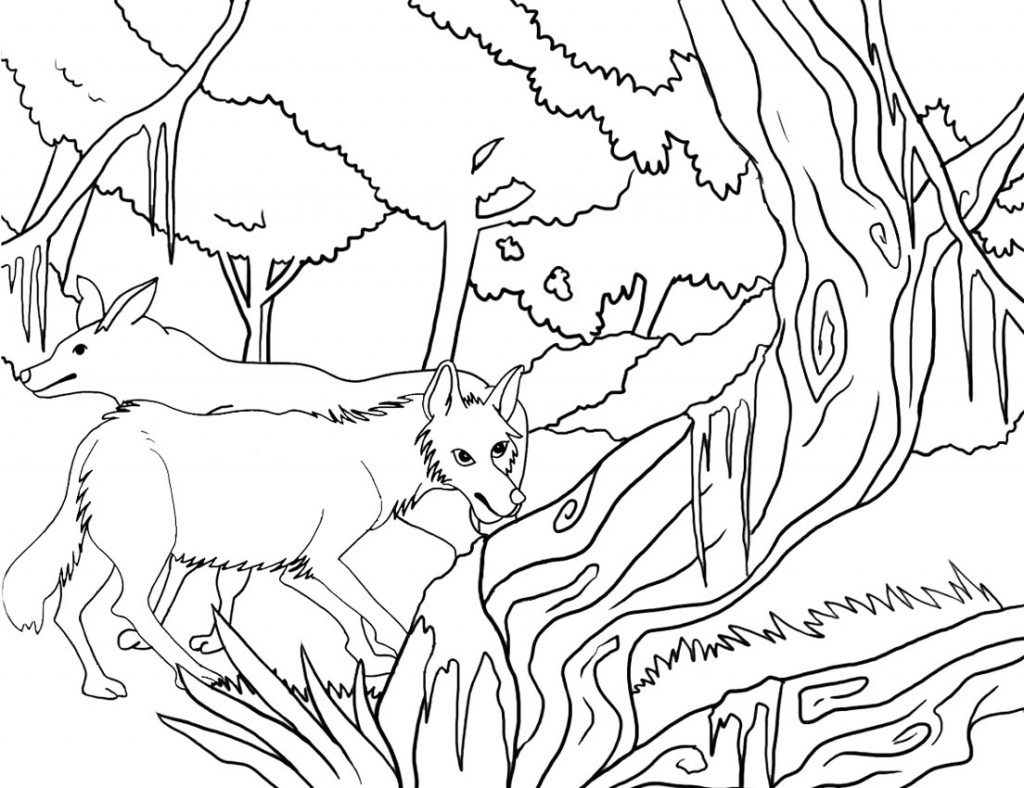 printable-coyote-coloring-pages-coloringme