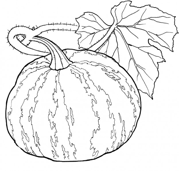 Printable Pumpkin Coloring Pages | ColoringMe.com