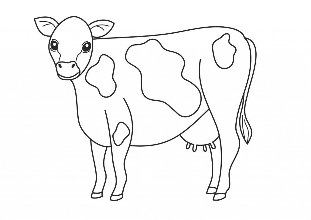 Printable Cow Coloring Pages – ColoringMe.com