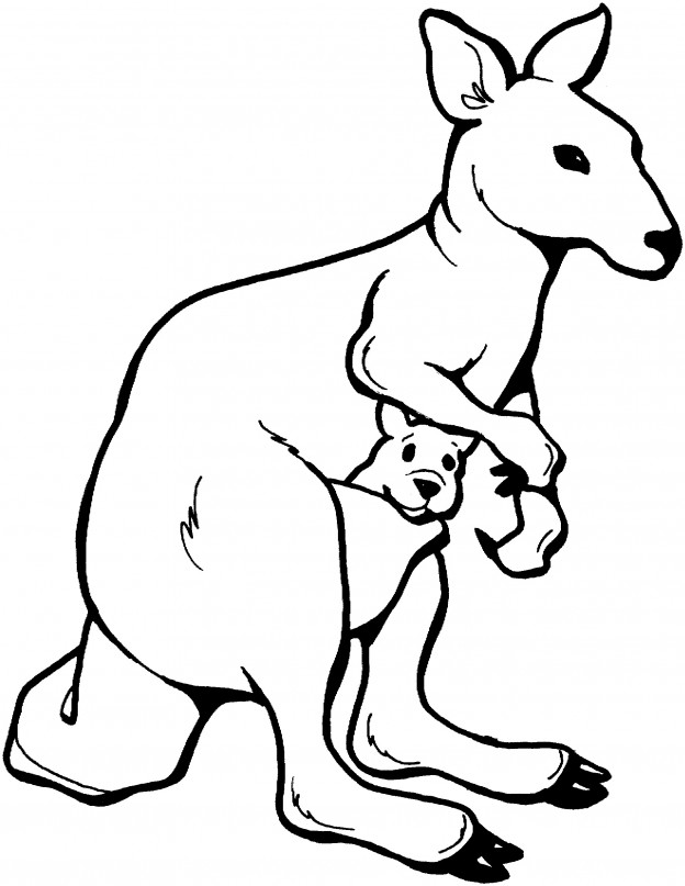 Printable Kangaroo Coloring Pages – ColoringMe.com