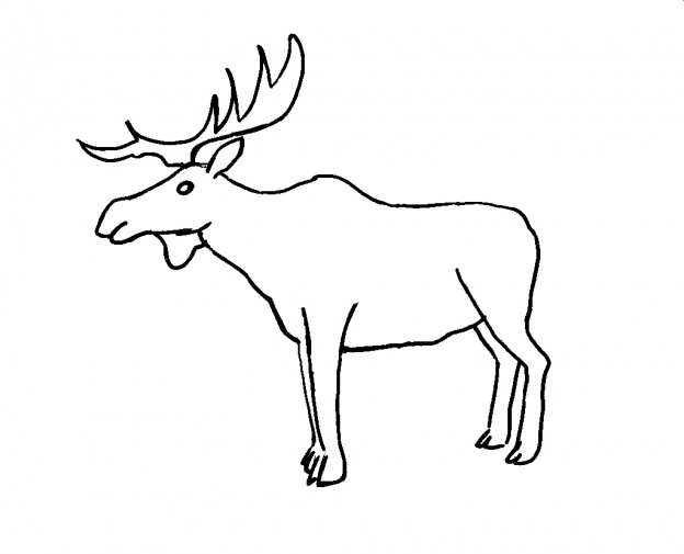 Printable Moose Coloring Pages | ColoringMe.com