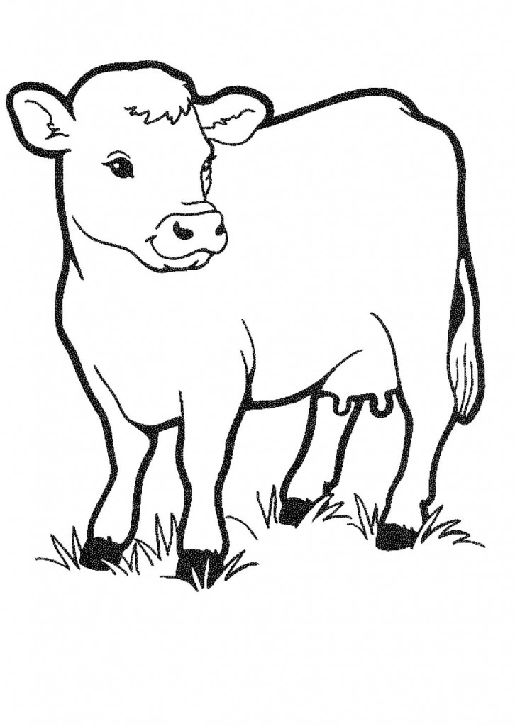 Printable Cow Coloring Pages – ColoringMe.com