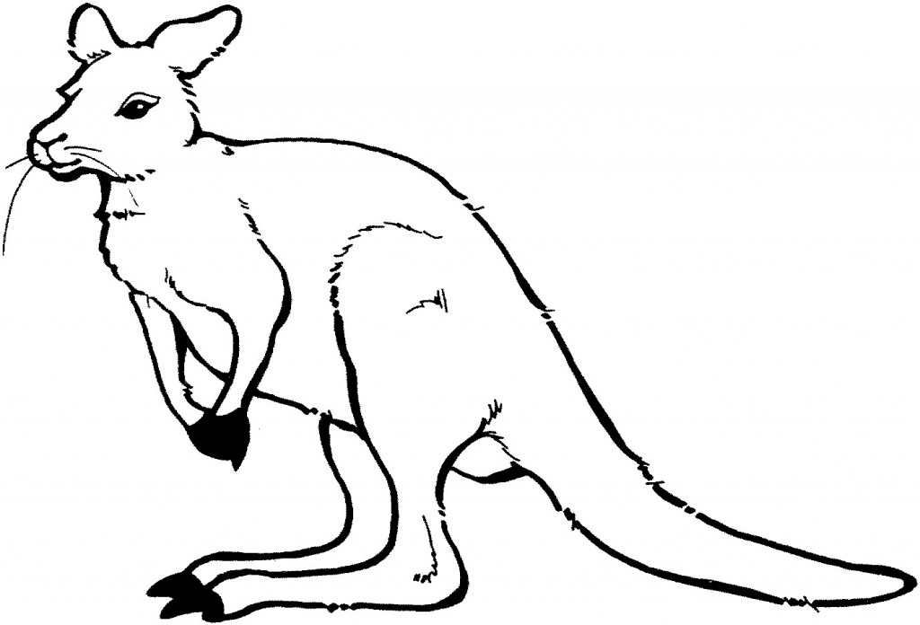 Printable Kangaroo Coloring Pages | ColoringMe.com