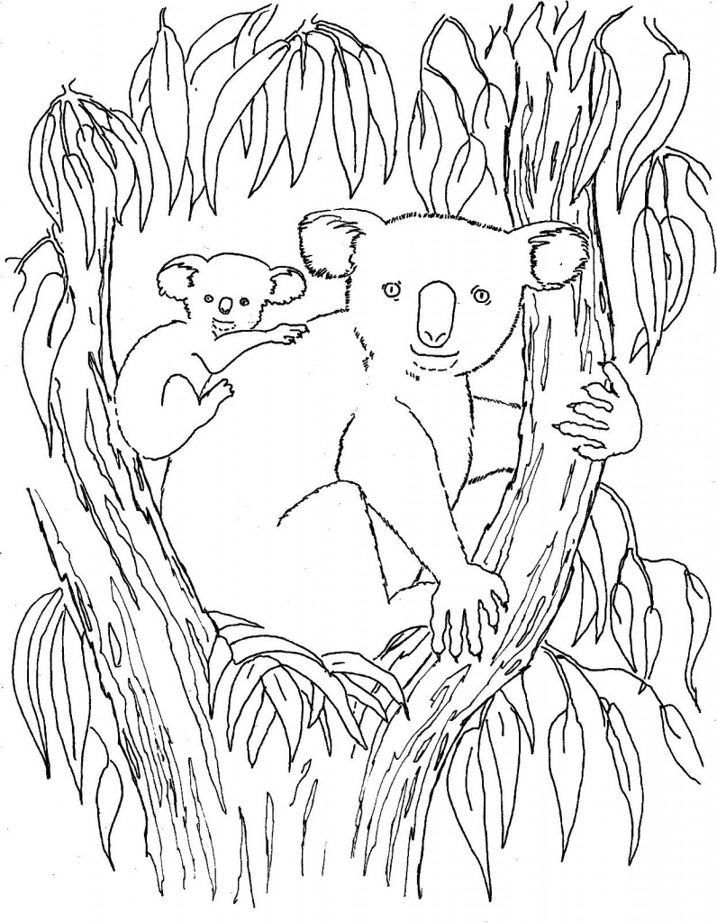 Printable Koala Coloring Pages | ColoringMe.com