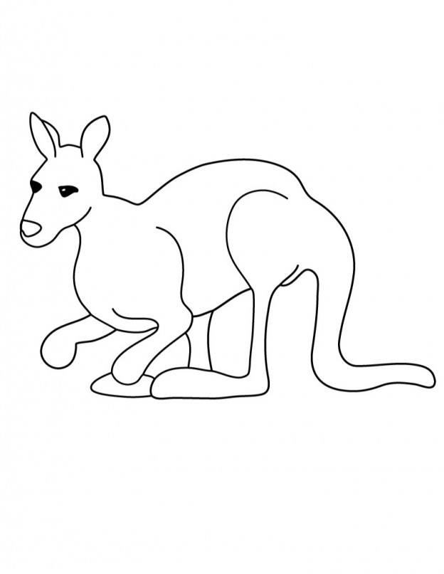 Printable Kangaroo Coloring Pages – ColoringMe.com