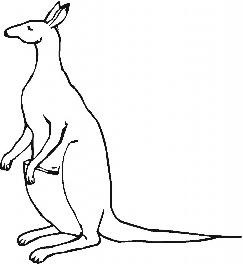 Printable Kangaroo Coloring Pages – ColoringMe.com