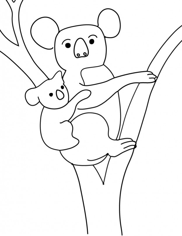 Printable Koala Coloring Pages – Coloringme.com