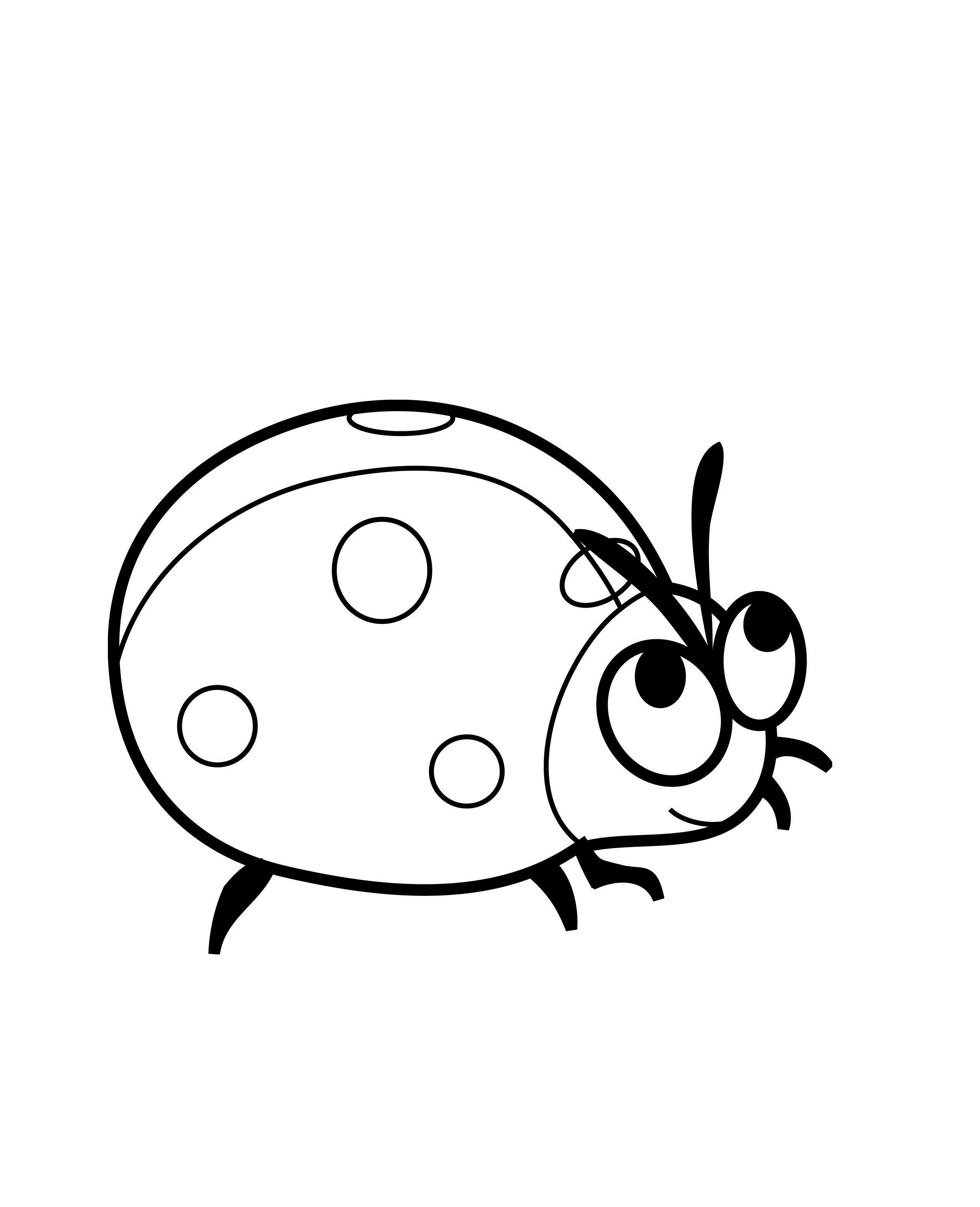Picture Of Ladybug To Color