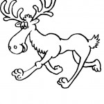 Printable Moose Coloring Pages Coloringme Com