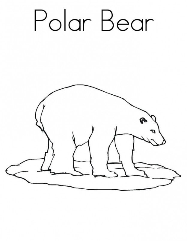 Polar Bear Coloring Sheet | ColoringMe.com