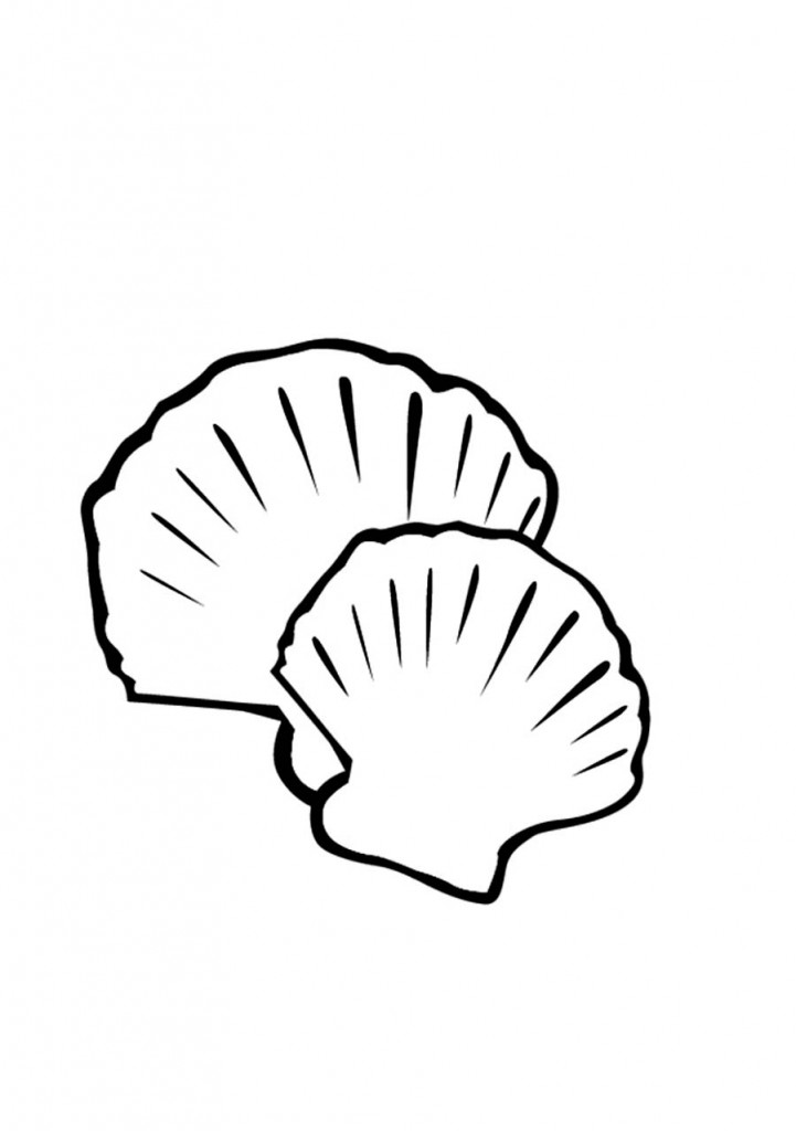 Printable Seashell Coloring Pages – ColoringMe.com