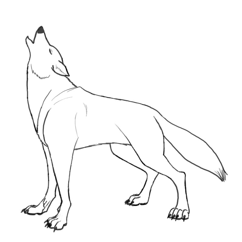 howling wolf coloring page