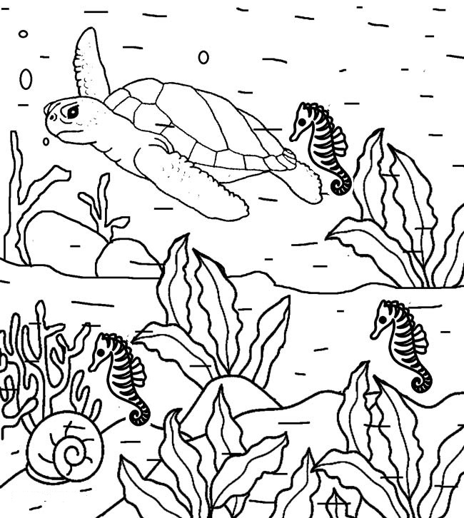 Featured image of post Nature Coloring Pages Printable Free / Among them are animals, birds, insects, dinosaurs, flowers, and fruits.